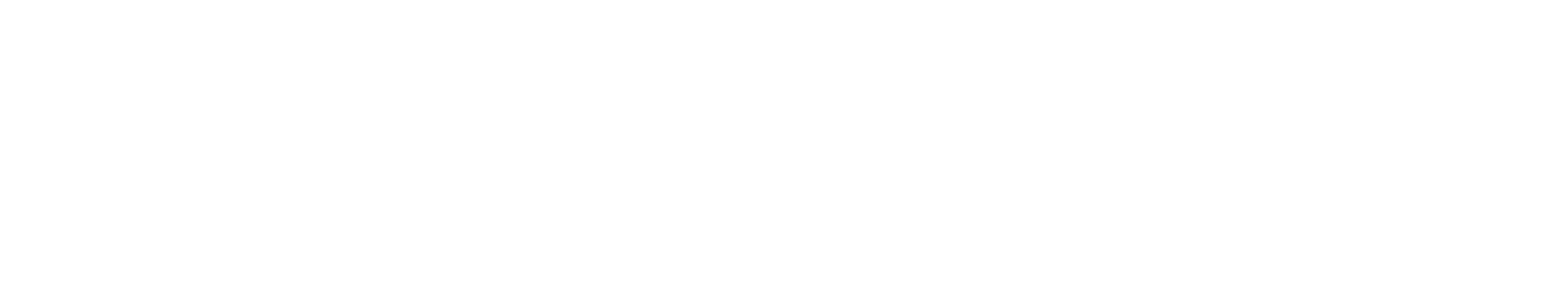 TAVIRA AGENCY